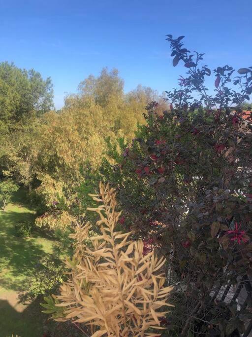 Casa Incantevole Con Vista Parco Appia Antica Villa Rom Exteriör bild